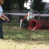 foire-haricots 2011-09-17et18